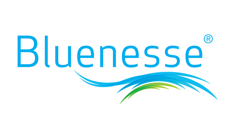 Bluenesse logo