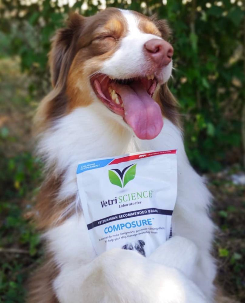dog smiling holding composure product