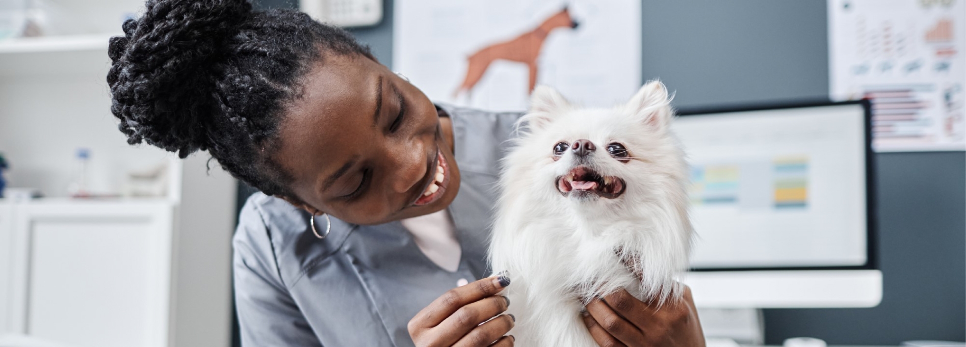 Vet Staff
