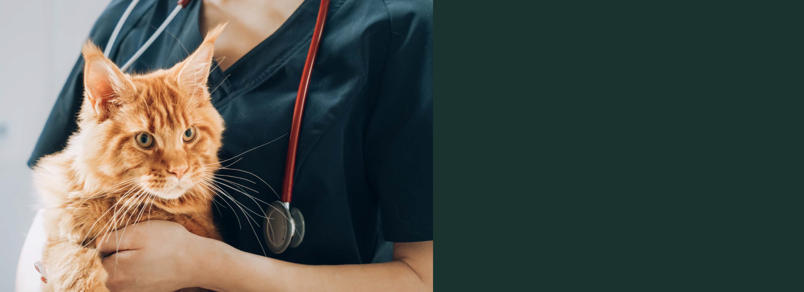 Veterinary Strength