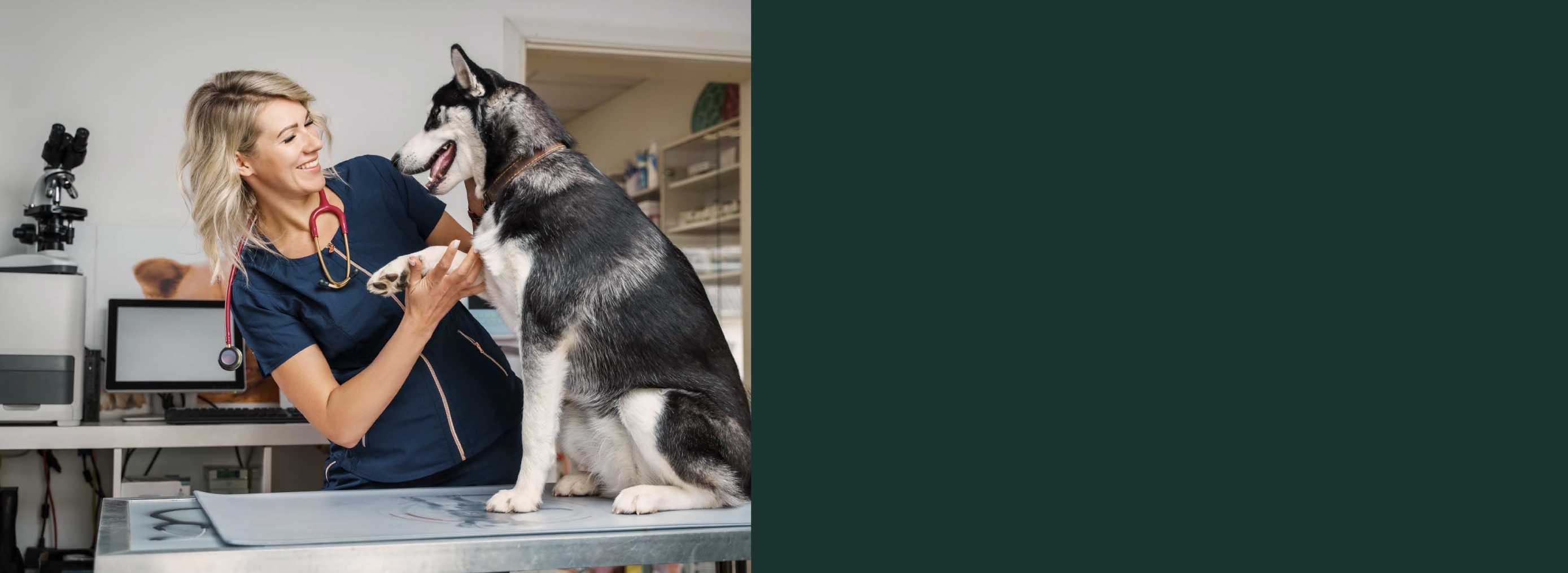 Veterinary Strength