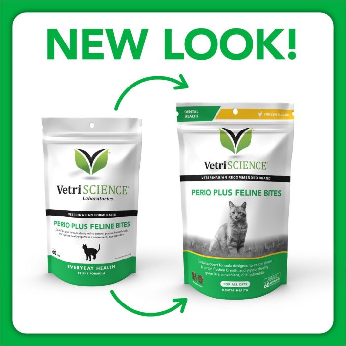 Pet lab company accadeva dental wash