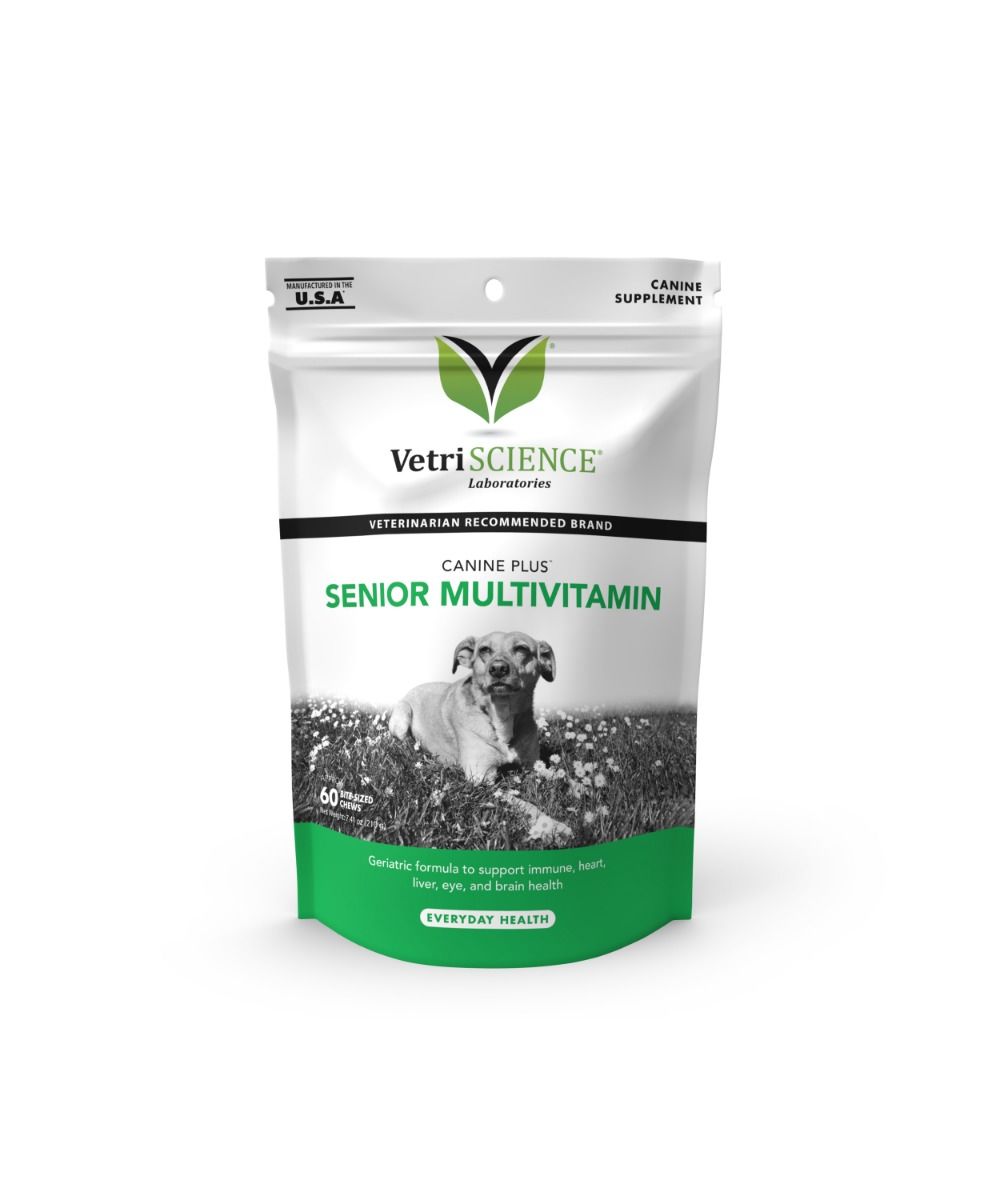 Vitamins for aging dogs top