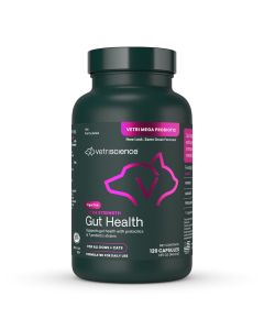 Front of Extra Strength Gut Health 120 count bottle