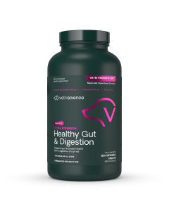 Front of Extra Strength Healthy Gut & Digestion Chewable Tablets bottle