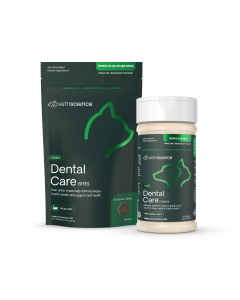 Daily Dental Bundle for Cats group shot