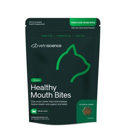 Front of Dental Care Bites for cats bag