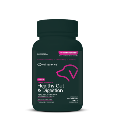 Front of Extra Strength Healthy Gut & Digestion Chewable Tablets bottle